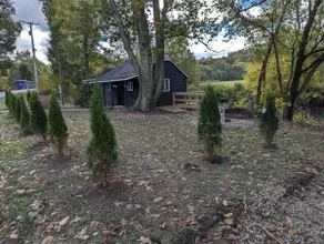 The Roost on Wills Creek - Image 2