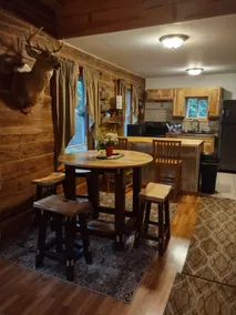 Secluded cabin UTV, pet-friendly - Image 4