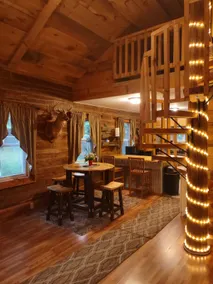 Secluded cabin UTV, pet-friendly - Image 5