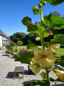 Charming cottage with hot tub. - Image 3