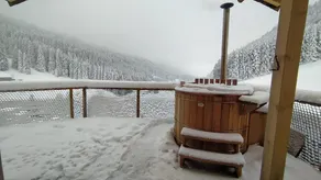 Unusual Cabin - Lynx Cabin - Image 4