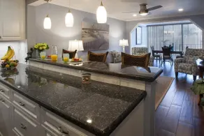 Newly Renovated Piece of Paradise - Image 2