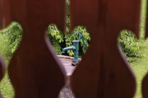 House Alpine Rose - Image 4
