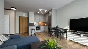 Lublin Old Town Apartment ”Singapura cat” - Image 4