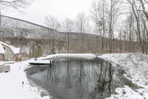 Fingerlakes Land, Pond, Views & Hot Tub- LandHouse - Image 5