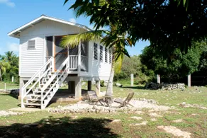 Horse Cottage # 1 - Image 3