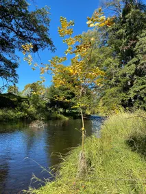Creekside Charmer - Image 2