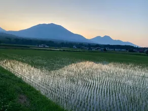 Rice fields at the foot of the mountain. Rin, an old private house for rent, where you can travel like you live - Image 4