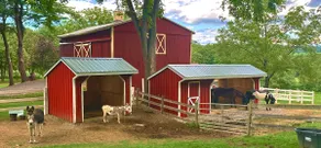 Lazy 8 is a peaceful, scenic countryside getaway - Image 5