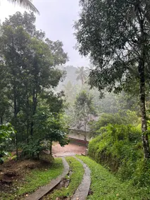 Immerse in Nature’s Beauty at Eden Thottam, Idukki - Image 2
