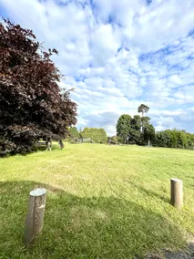 The White Cottage - Frant, Tunbridge Wells - Image 5