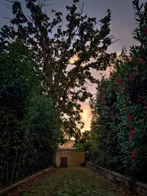 Apartment with garden - Image 4