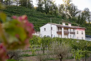Dalia: Prosecco view, terrace and modern charm - Image 2