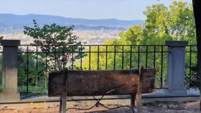 Carpe Diem - Image 3