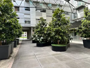 East Melbourne - Large 2 bedroom Apt 1013 KN - Image 3