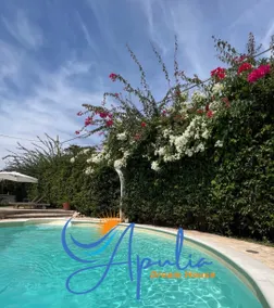Vacation home with pool - Image 3