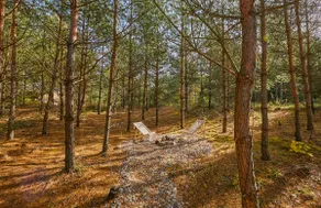 Forest house with outdoor bath - Image 2