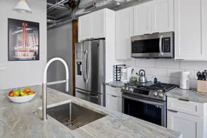 Fantastic West Loop 2 bedroom - Image 4