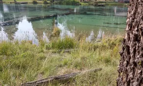 Creek Side Retreat - Image 4