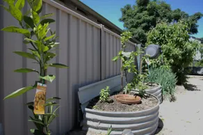 Blue Wren Cottage - Image 4