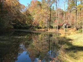Caesars Head Rustic Cabin & Fishing Pond - Image 4