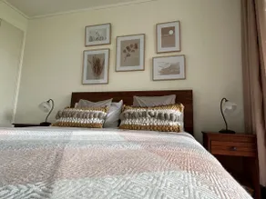 Charming apartment in Pucon - Image 3