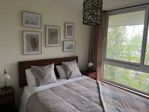 Charming apartment in Pucon - Image 4