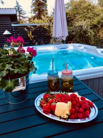 Villa Vendel - summer house with sunny location - Image 2