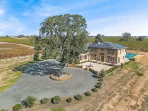 Luxury 4 Acre Estate - Pickleball, Pool, Hot Tub! - Image 2