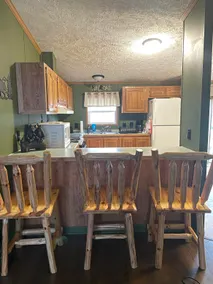 Cozy Bear Cabin - Houghton Lake - Image 2