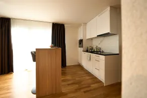 Penthouse apartment with terrace incl. cleaning - Image 3