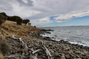 Eco Waterfront Seclusion - Carlton Bluff House - Image 4