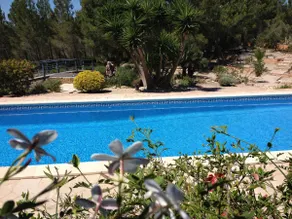 Casa Lorena, villa with large swimming pool, sea 3 km away - Image 3