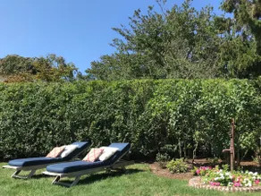 Spacious and Historic- 'Sconset! - Image 3