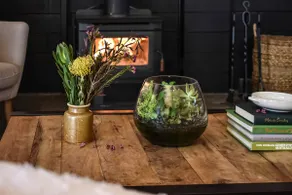 Little Valley Shed: Great location, luxury touches - Image 5