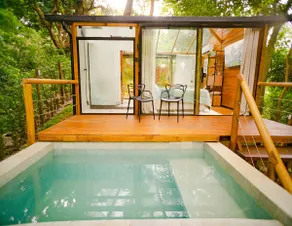 Glass Cabin in the Forest - Image 3