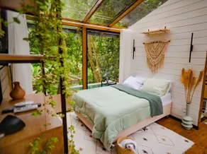 Glass Cabin in the Forest - Image 2