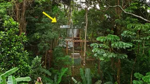Glass Cabin in the Forest - Image 4