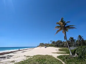 Apt. Opp Beach, Windsurfing Nr Grocery, Bus - Image 2