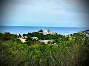 Finca Amour - Image 2