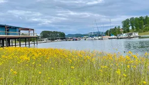 Gilmore Getaway by the Dock on Cherokee Lake - Image 3