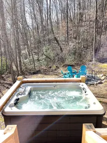 Pet friendly, Fenced yard, Hot Tub, Hi-Speed WiFi - Image 3