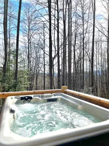 Pet friendly, Fenced yard, Hot Tub, Hi-Speed WiFi - Image 4