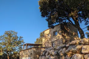 The Great Green Oak – Bagnols-sur-Cèze - Image 4