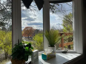 Siri's Pride & Joy Bungalow - Image 2