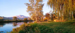 Tudor on the River - Image 3