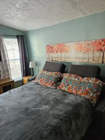 Beautiful new house - Image 5