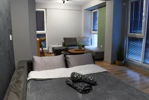 The Royal Pine Apartment Mavrovo - Image 4