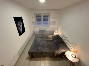 House of three cats - Image 3