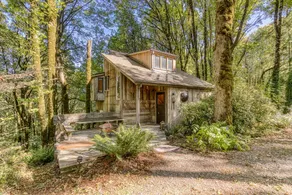 Forest Park Hideaway | Nature Oasis Near City - Image 3